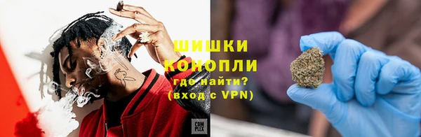mdpv Богданович