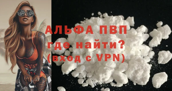 стафф Богородицк