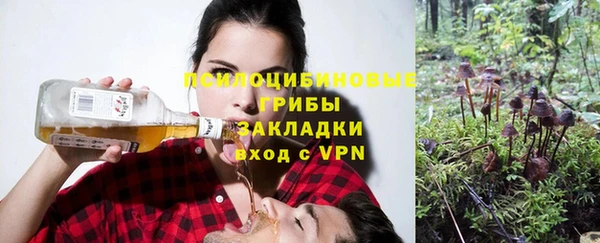 стафф Богородицк
